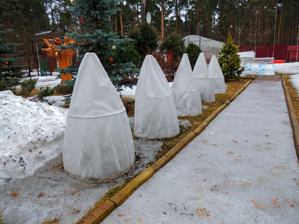 Укрытие растений зимой